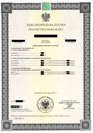 Gdzie kupić świadectwo ukończenia technikum